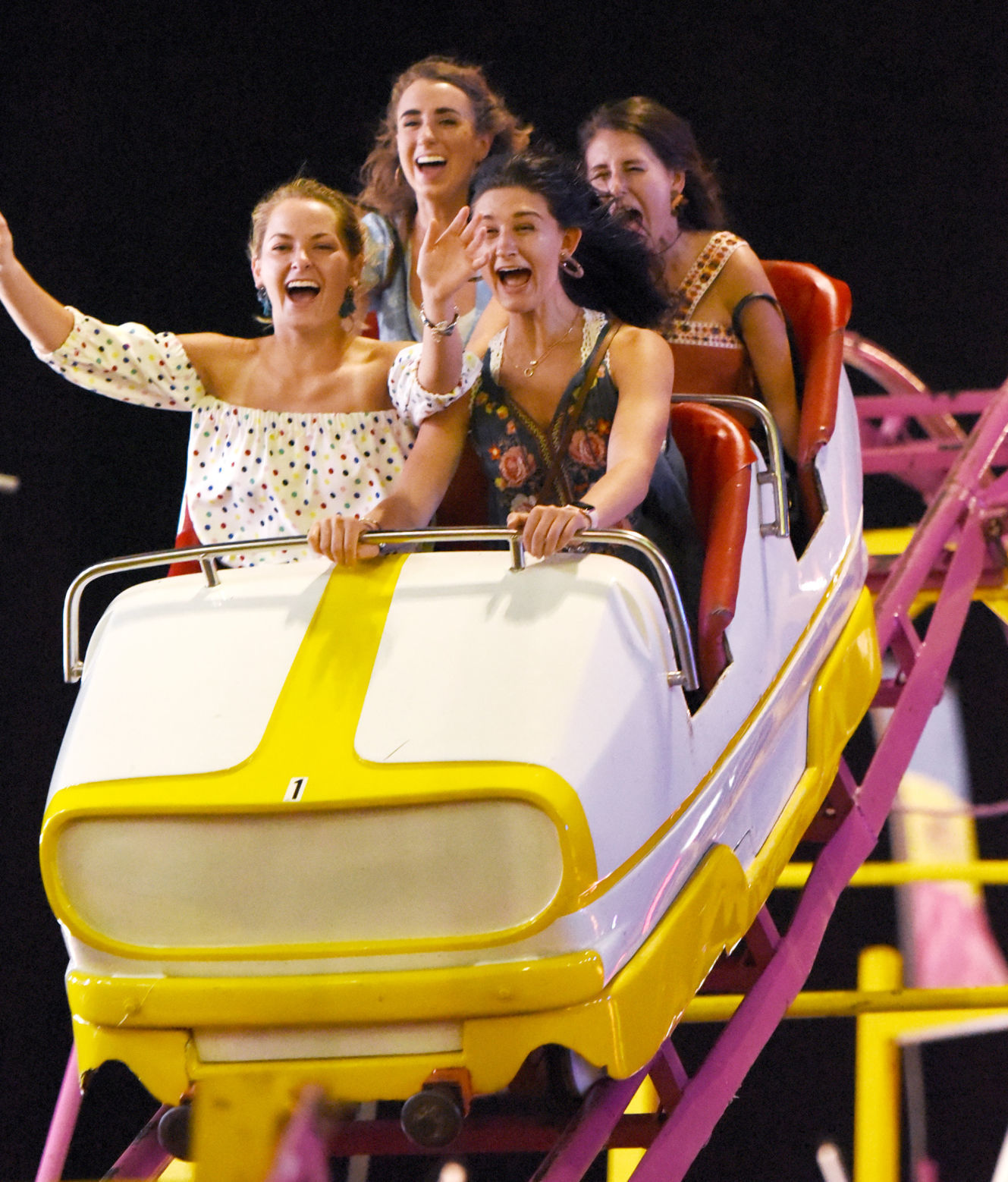 Dixie Classic Fair